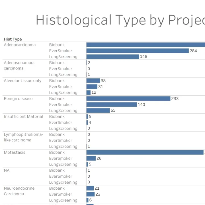A Histological Chart of the number of lesions associated per Histological Type, divided per cohort.