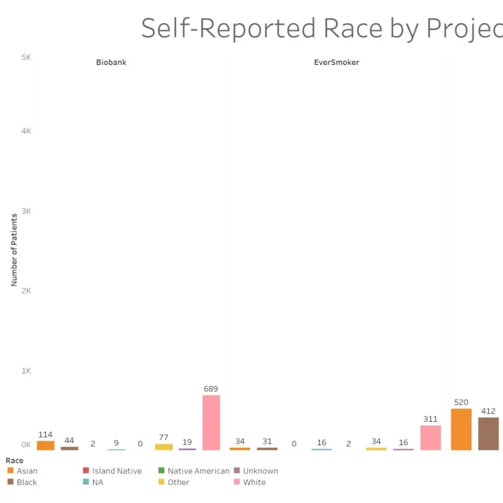 A Bar Chart of the number of patients associated per race, divided per cohort.