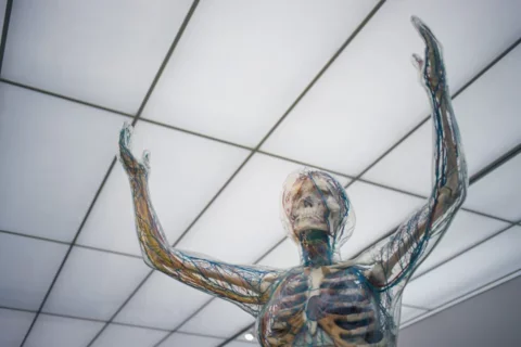 What Is It Like to Be a Neurologist?