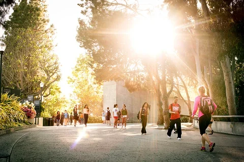 Sunny UCLA Medical School Campus
