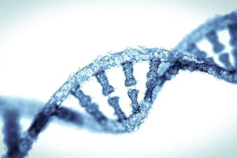 Close up of one DNA strand