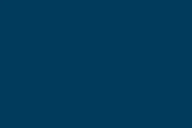 CNS Darkest Blue Color