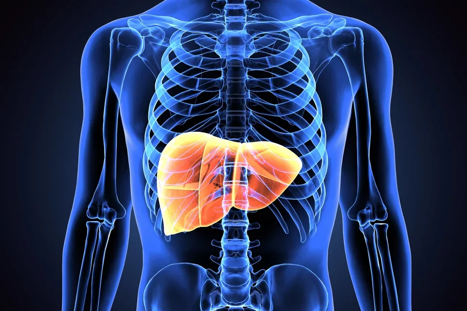IDx Liver