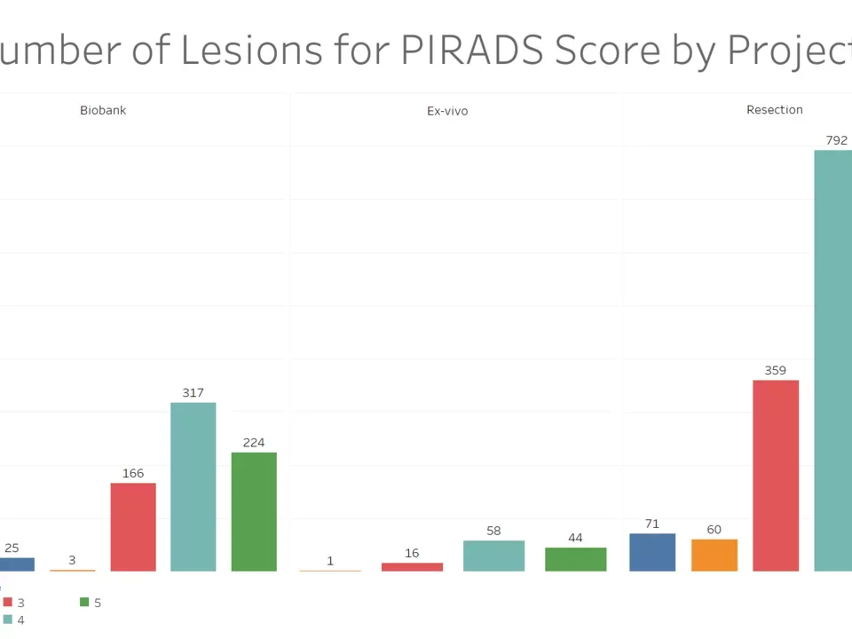 A Bar Chart of the number of lesions associated per PIRAD Score, divided per cohort.