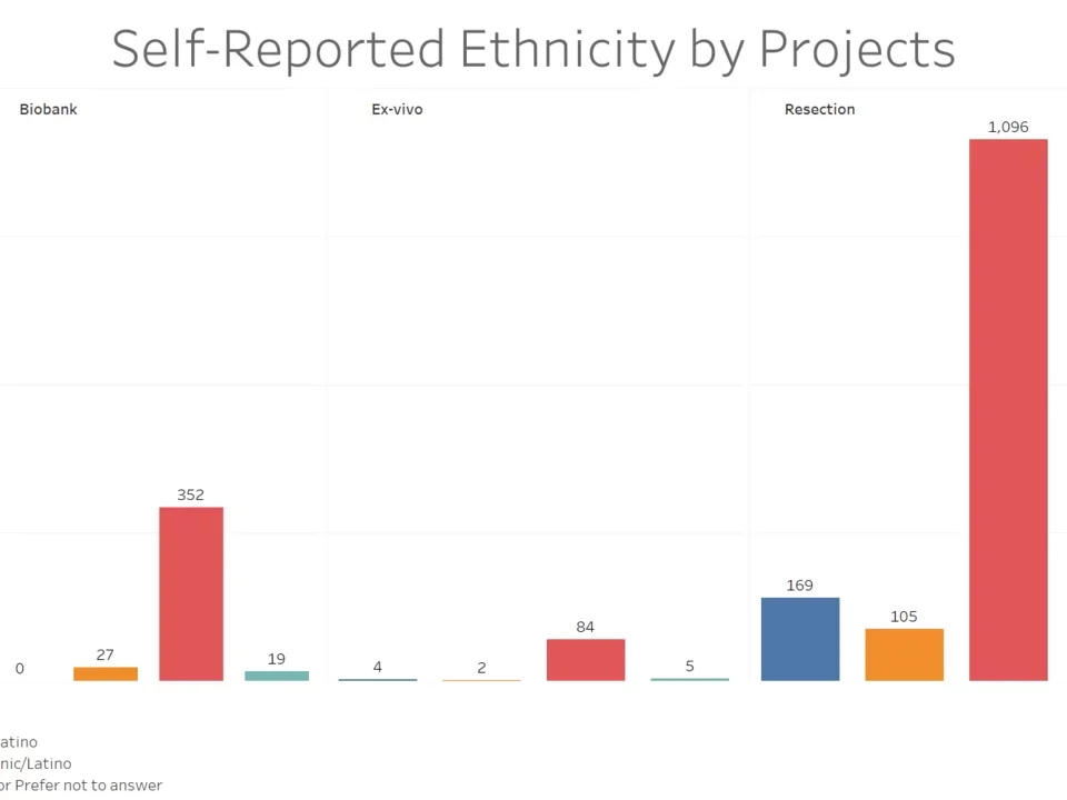 A Bar Chart of the number of Patients in the IDx Prostate Program and the ethnicities they belong to.