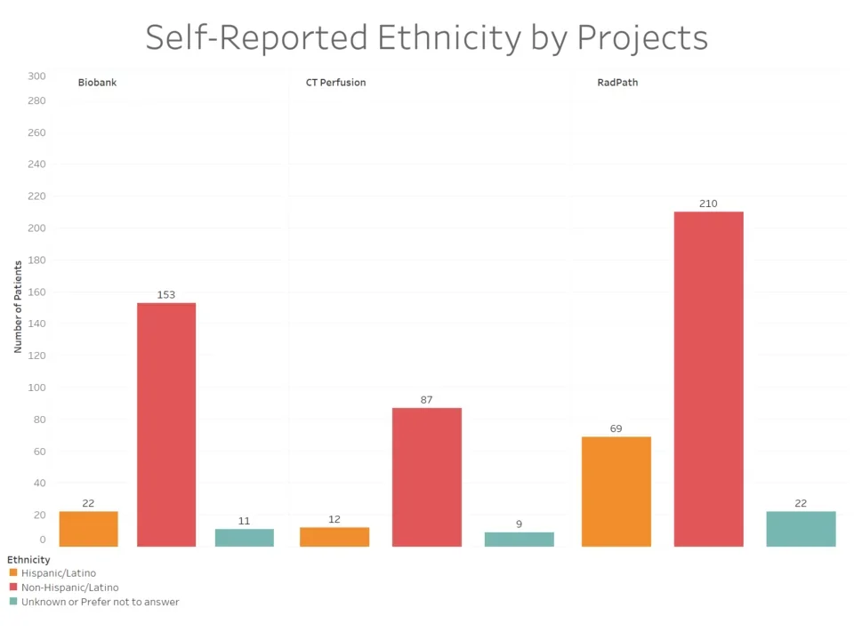 A Bar Chart of the number of Patients in the IDx Kidney Program and the ethnicities they belong to.