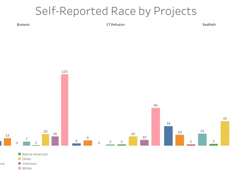 A Bar Chart of the number of patients associated per race, divided per Kidney cohort.