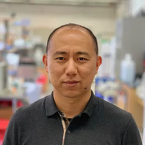 Chongyuan Luo
