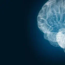 Brain