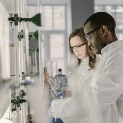 Researchers in lab